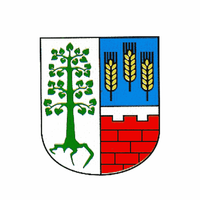 Badge of Machern