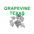 Badge of Grapevine