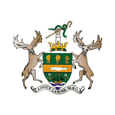Badge of County Down