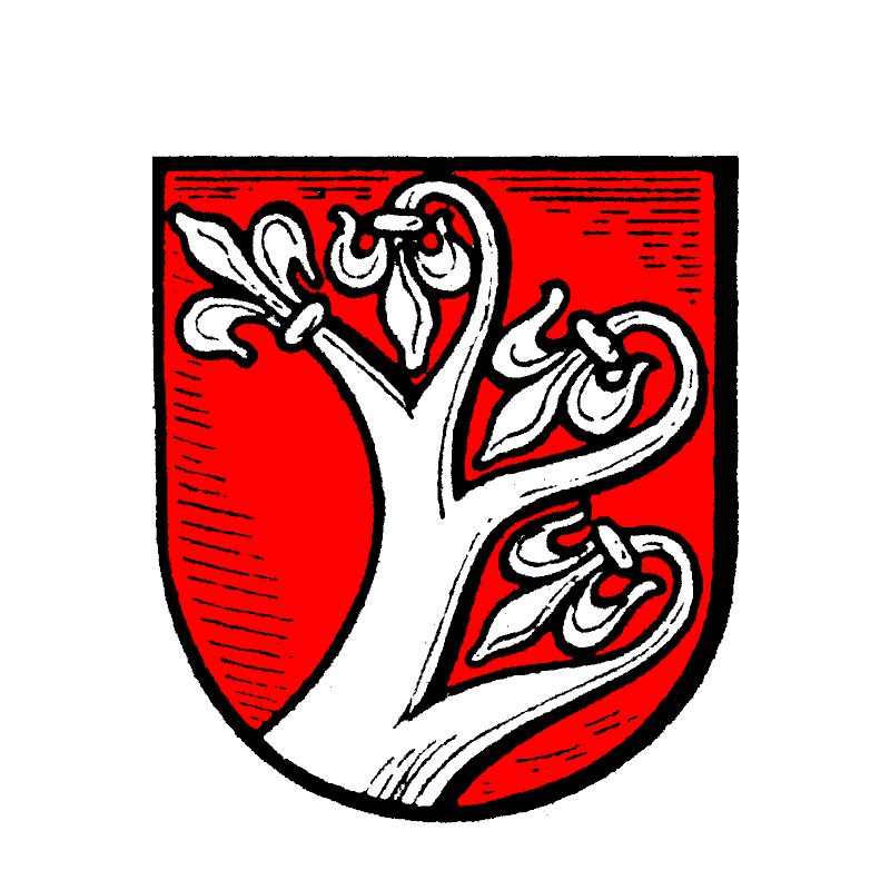 Badge of Söhrewald
