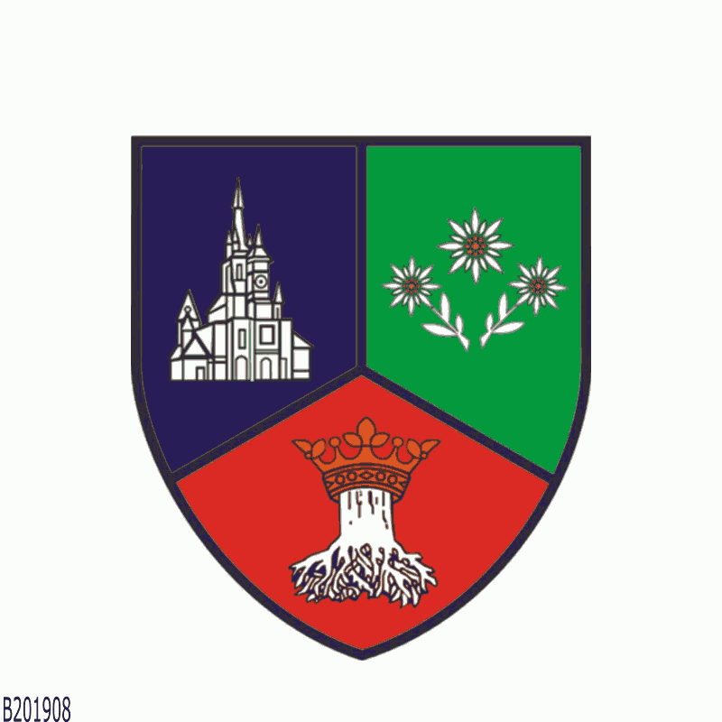 Badge of Brașov