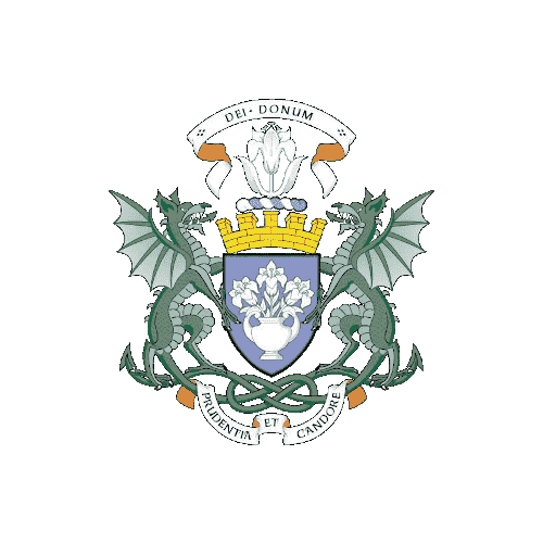 Badge of Dundee City