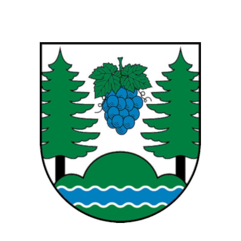 Badge of Verbandsgemeinde Droyßiger-Zeitzer Forst