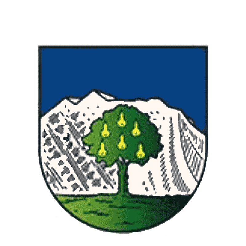 Badge of Wals-Siezenheim