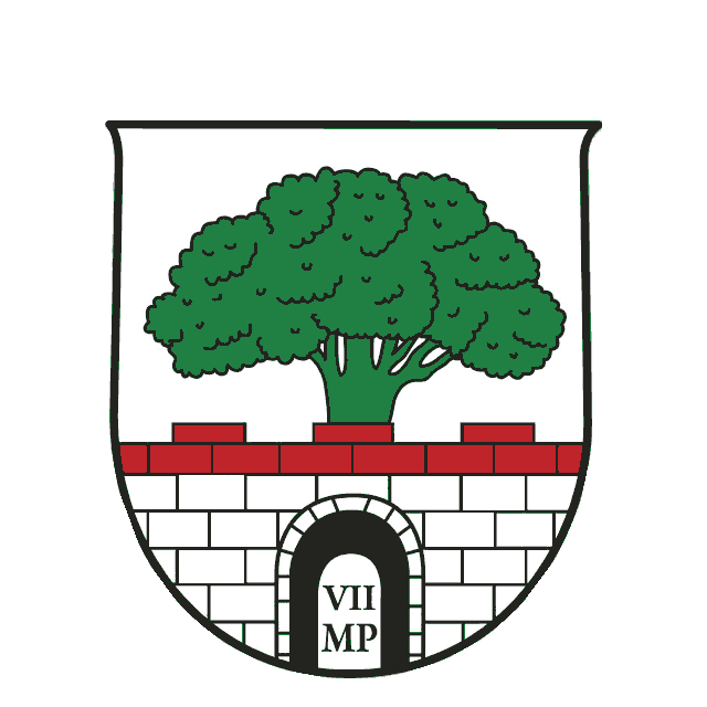 Badge of Puch bei Hallein