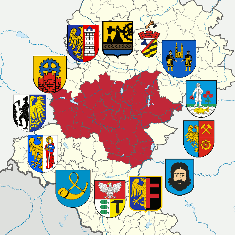 Badge of Górnośląsko-Zagłębiowska Metropolia