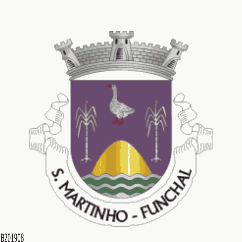 Badge of São Martinho