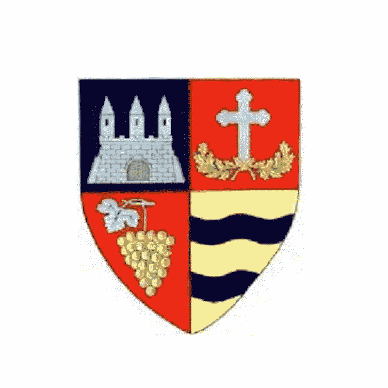 Badge of Arad