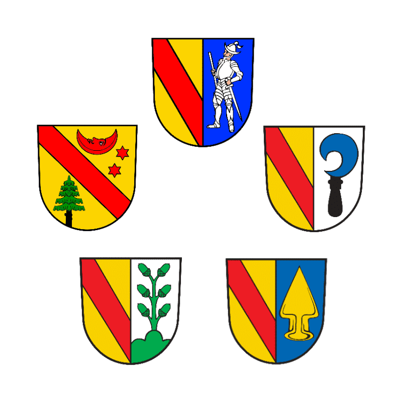 Badge of VVG der Stadt Emmendingen