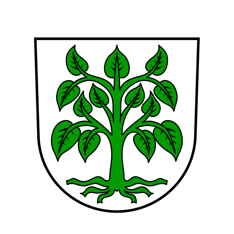 Badge of Schutterwald