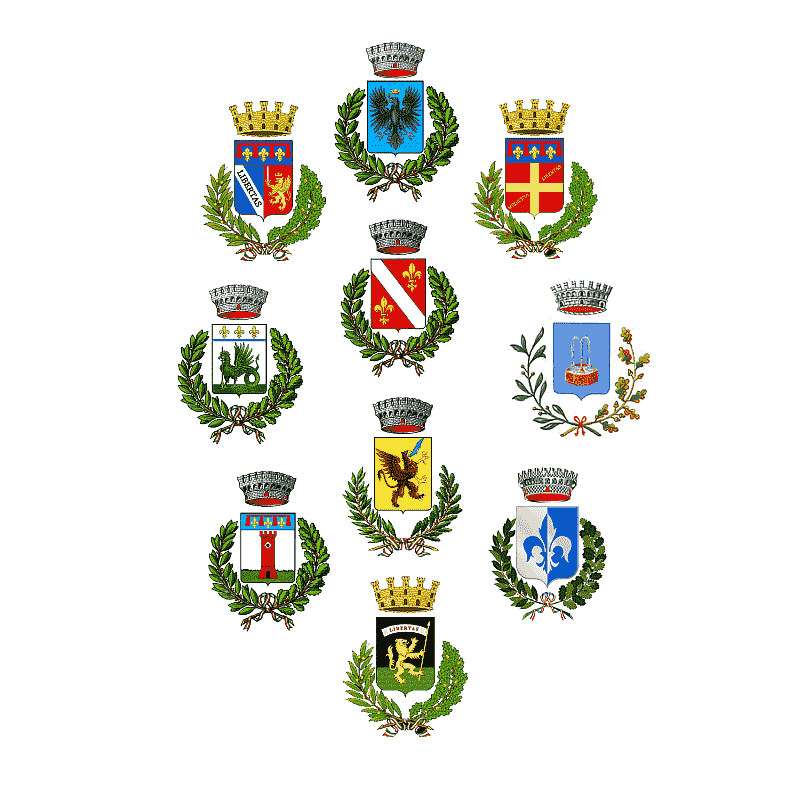 Badge of Nuovo Circondario Imolese