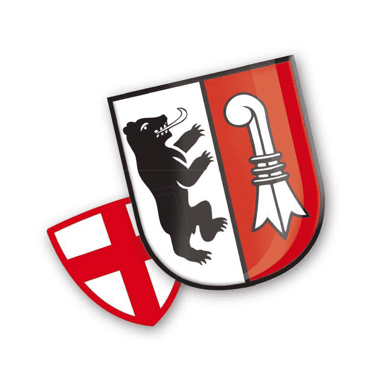 Badge of Tiengen