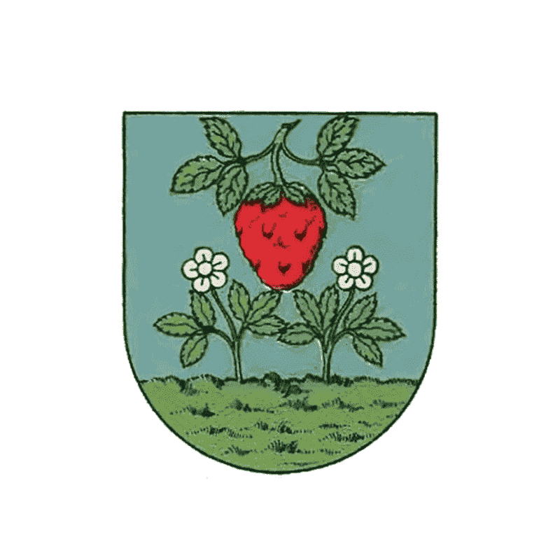 Badge of Erdberg