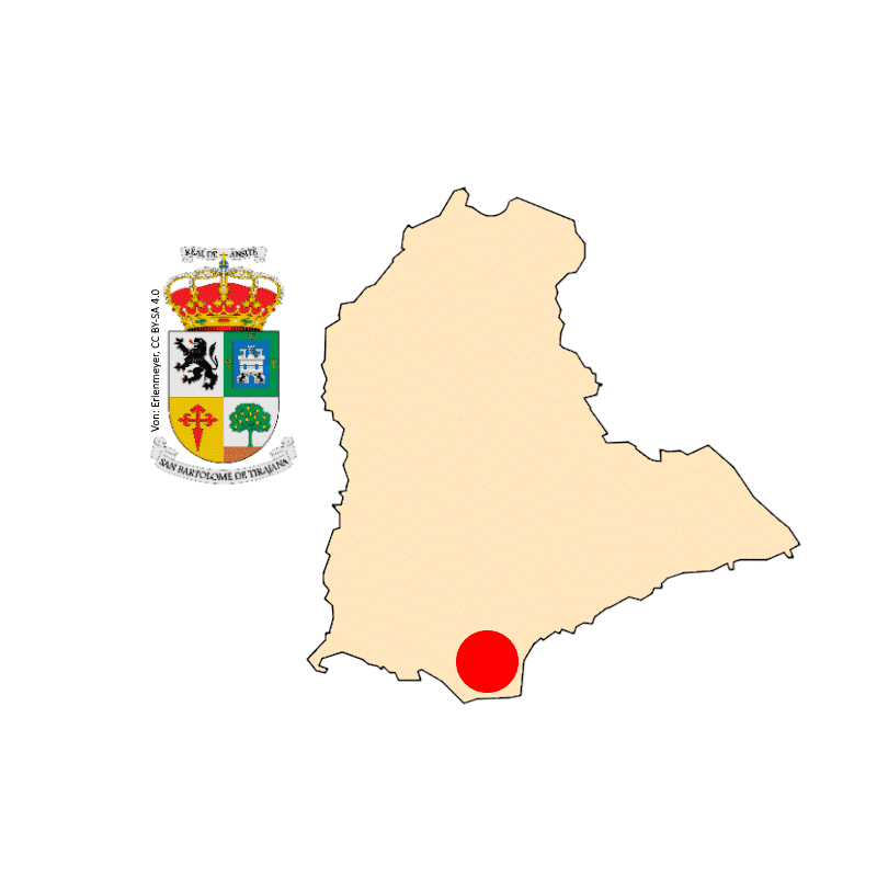 Badge of Maspalomas