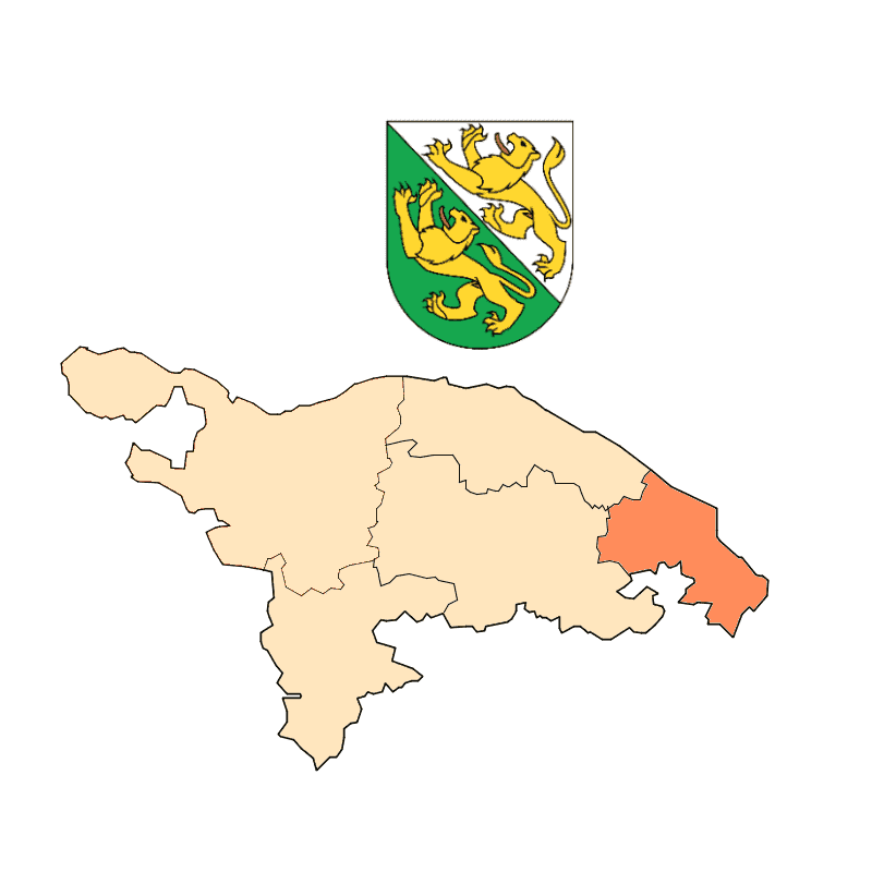 Bezirk Arbon
