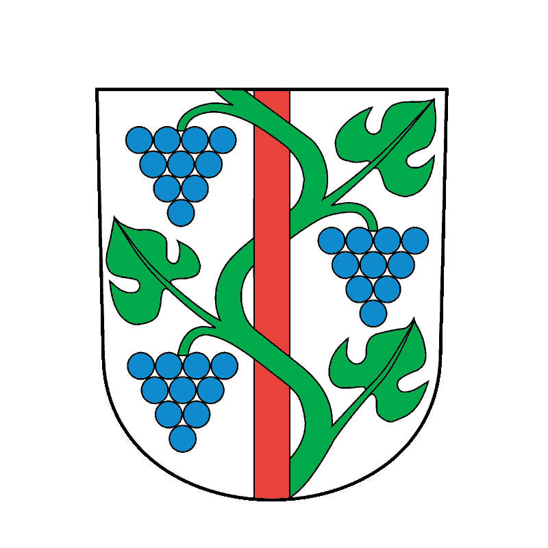 Badge of Bezirk Weinfelden