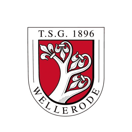 Badge of Wellerode