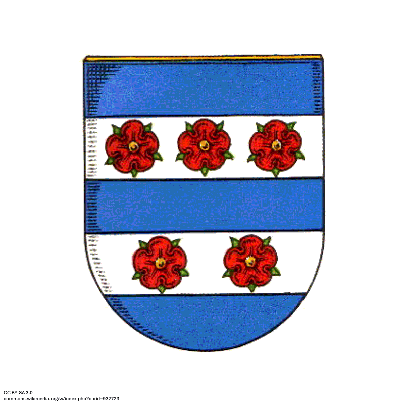 Badge of Burgstemmen