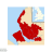 Badge of Liverpool City Region