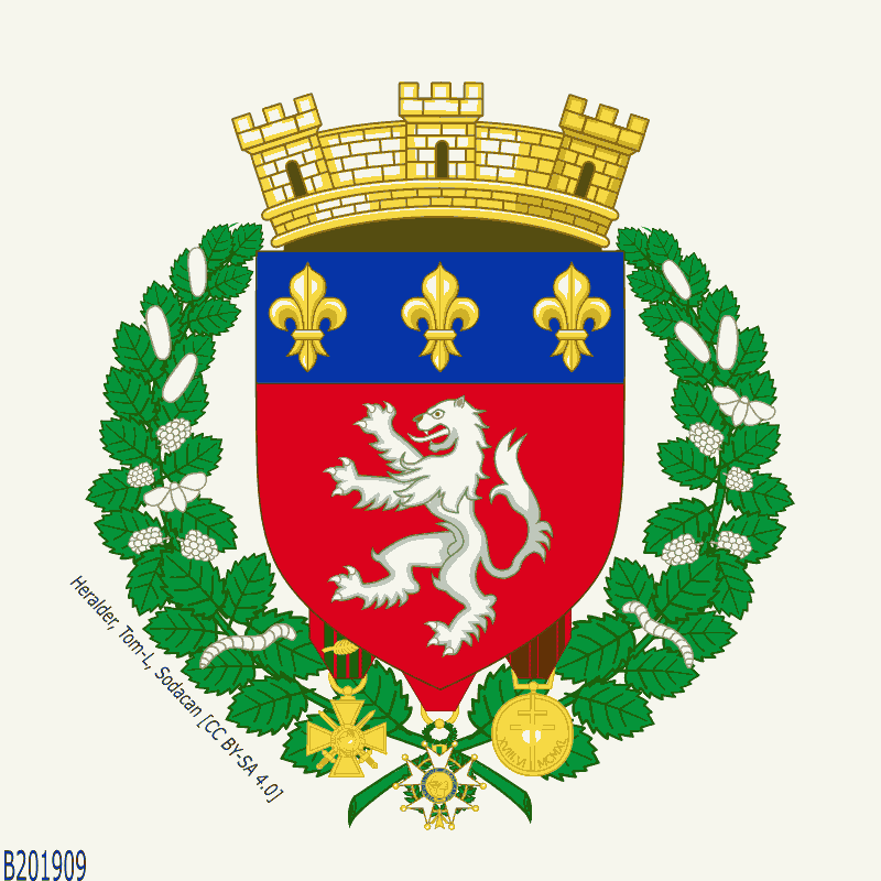 Badge of Lyon