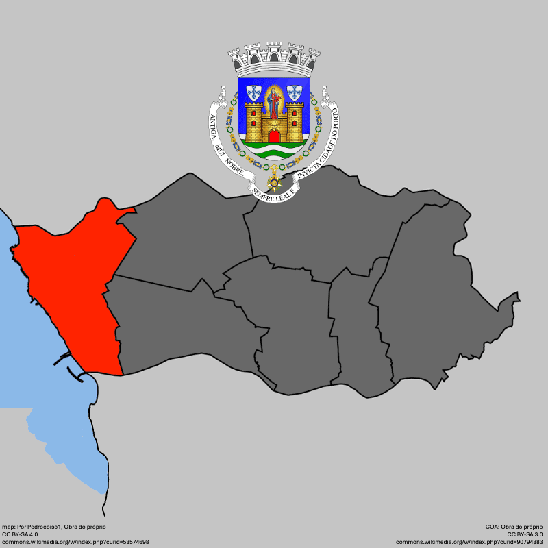 Badge of Aldoar, Foz do Douro e Nevogilde