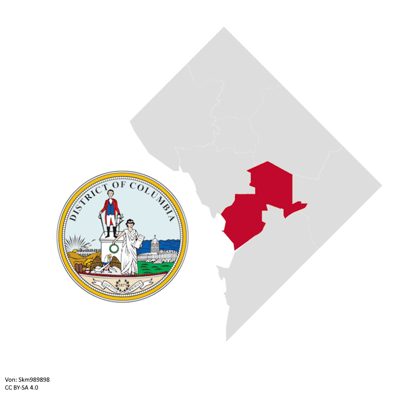 Ward 6