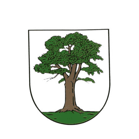 Badge of Berga-Wünschendorf