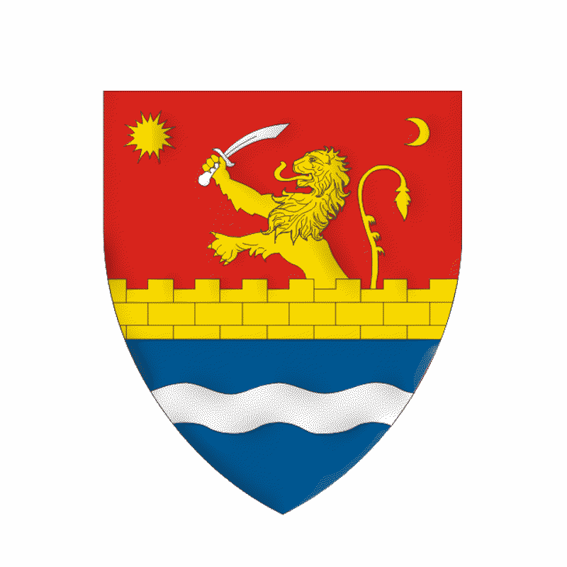 Badge of Timiș