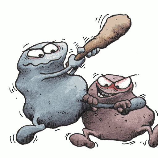 Type 5473 Image
