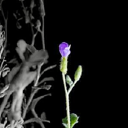 Thumbnail of Megachip-2