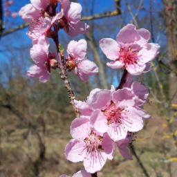 Thumbnail of wuffel-47