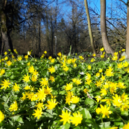 Thumbnail of wuffel-43