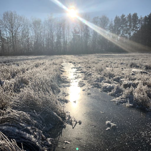 Thumbnail of Nick-30