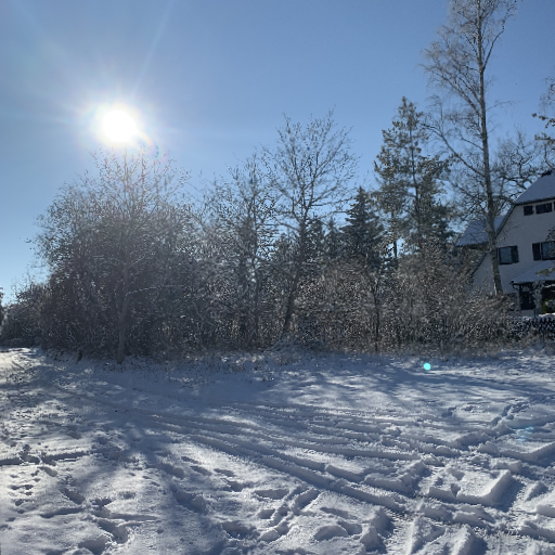 Thumbnail of Nick-10