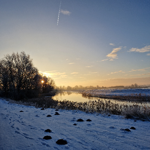 Thumbnail of TXL1-41