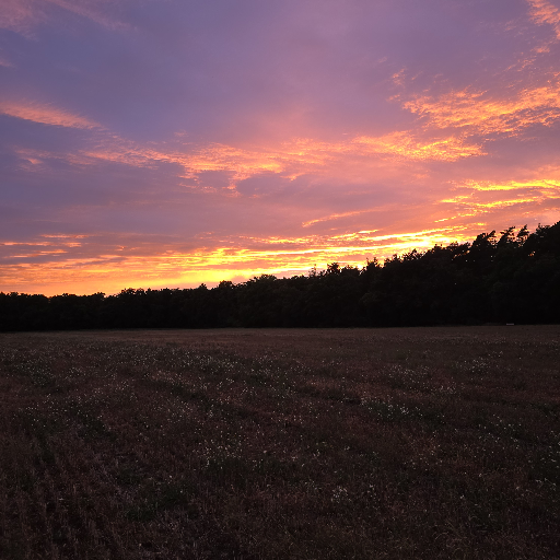 Thumbnail of Derholzspan-77