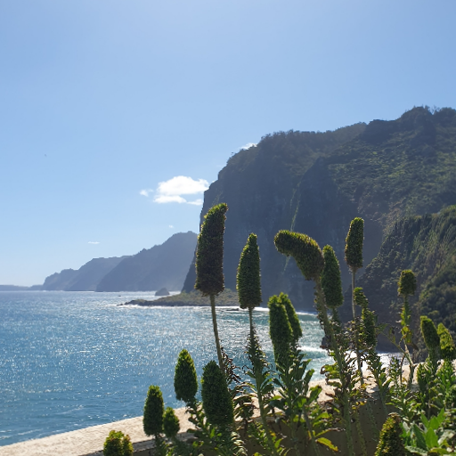 Thumbnail of Ellikatz-27