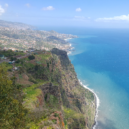 Thumbnail of Ellikatz-26