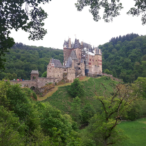 Thumbnail of werla-42