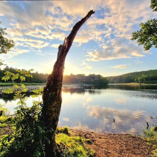 Thumbnail of Kleiner-7