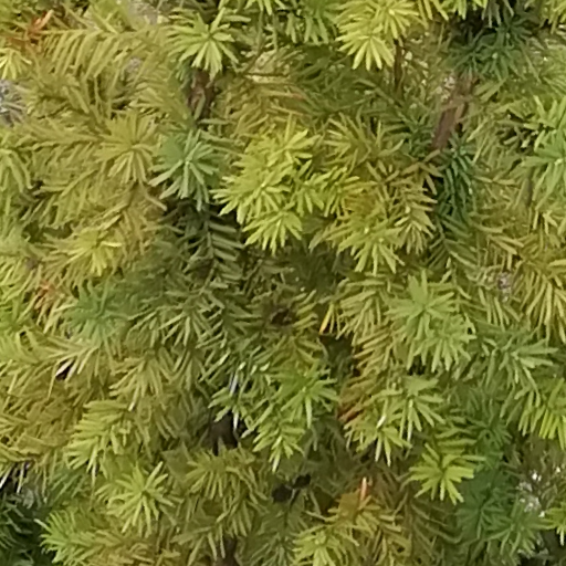 Thumbnail of Jaxel-5