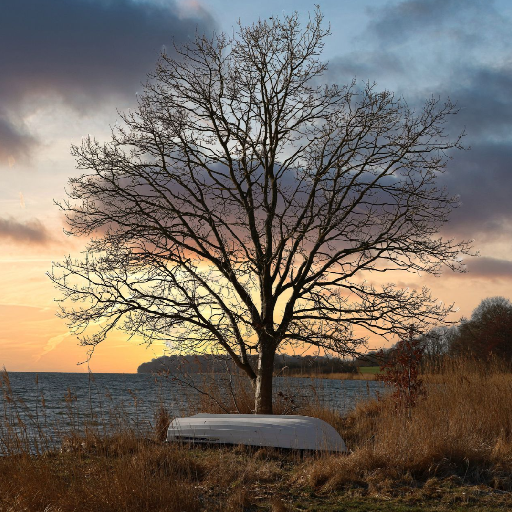 Thumbnail of Heisenberg-99