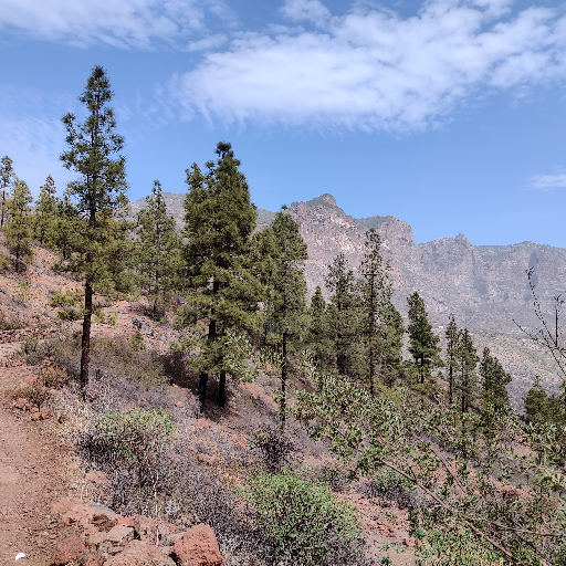 Thumbnail of Heisenberg-31