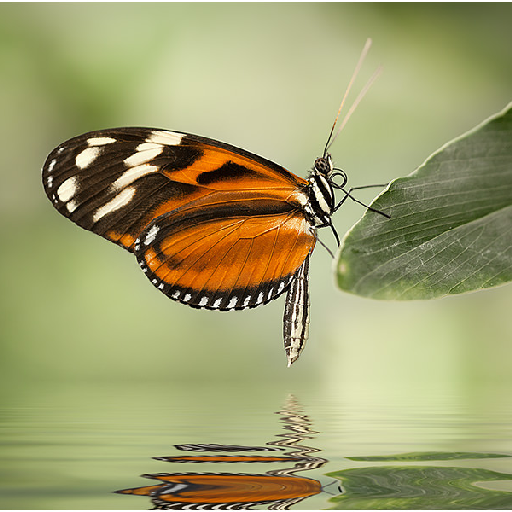 Thumbnail of gotchas-5