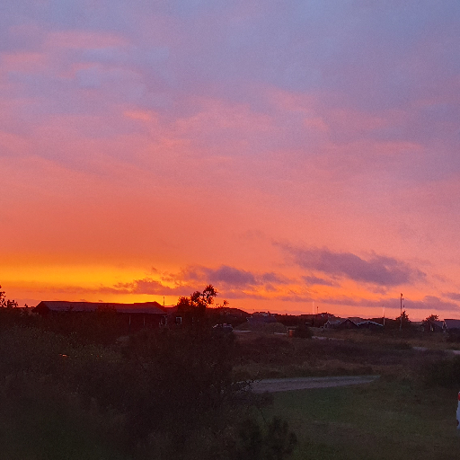 Thumbnail of shibby_ronson-29