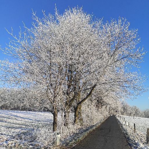 Thumbnail of ItsMe57-12