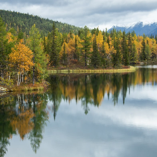 Thumbnail of Amonamarth-27